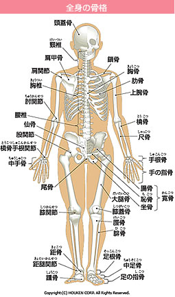 加古川,整体