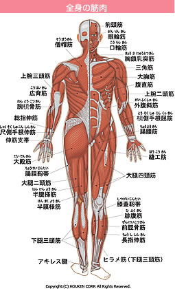 加古川,整体